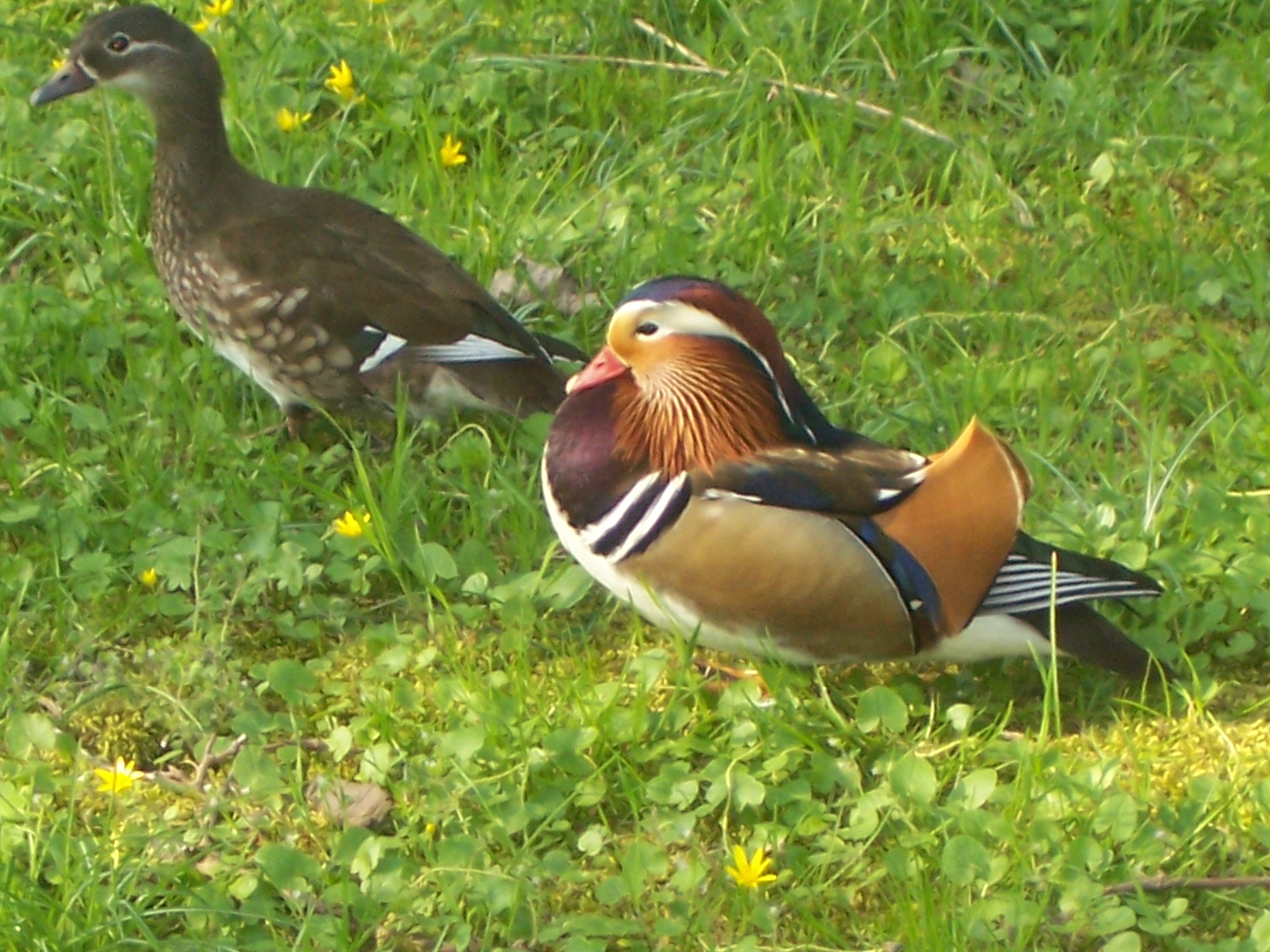 100_4626.JPG