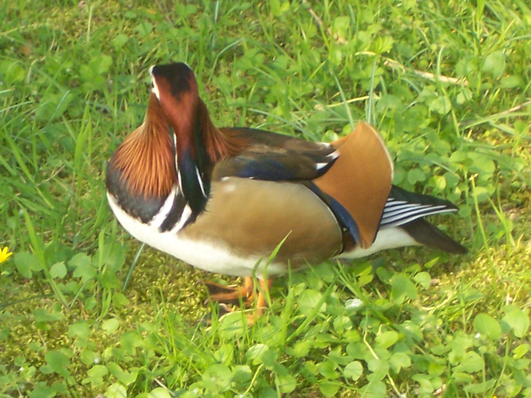 100_4627.JPG