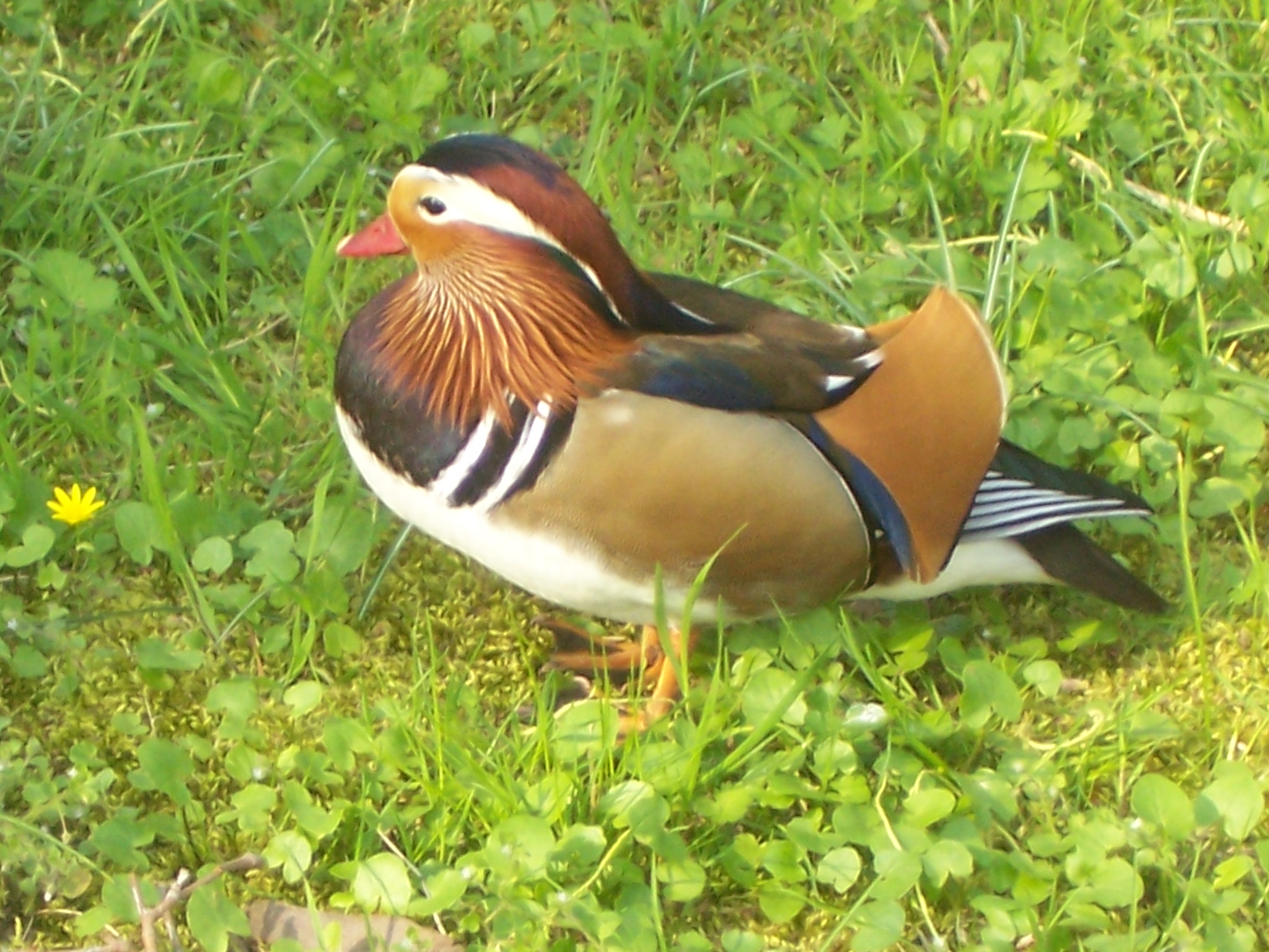 100_4628.JPG