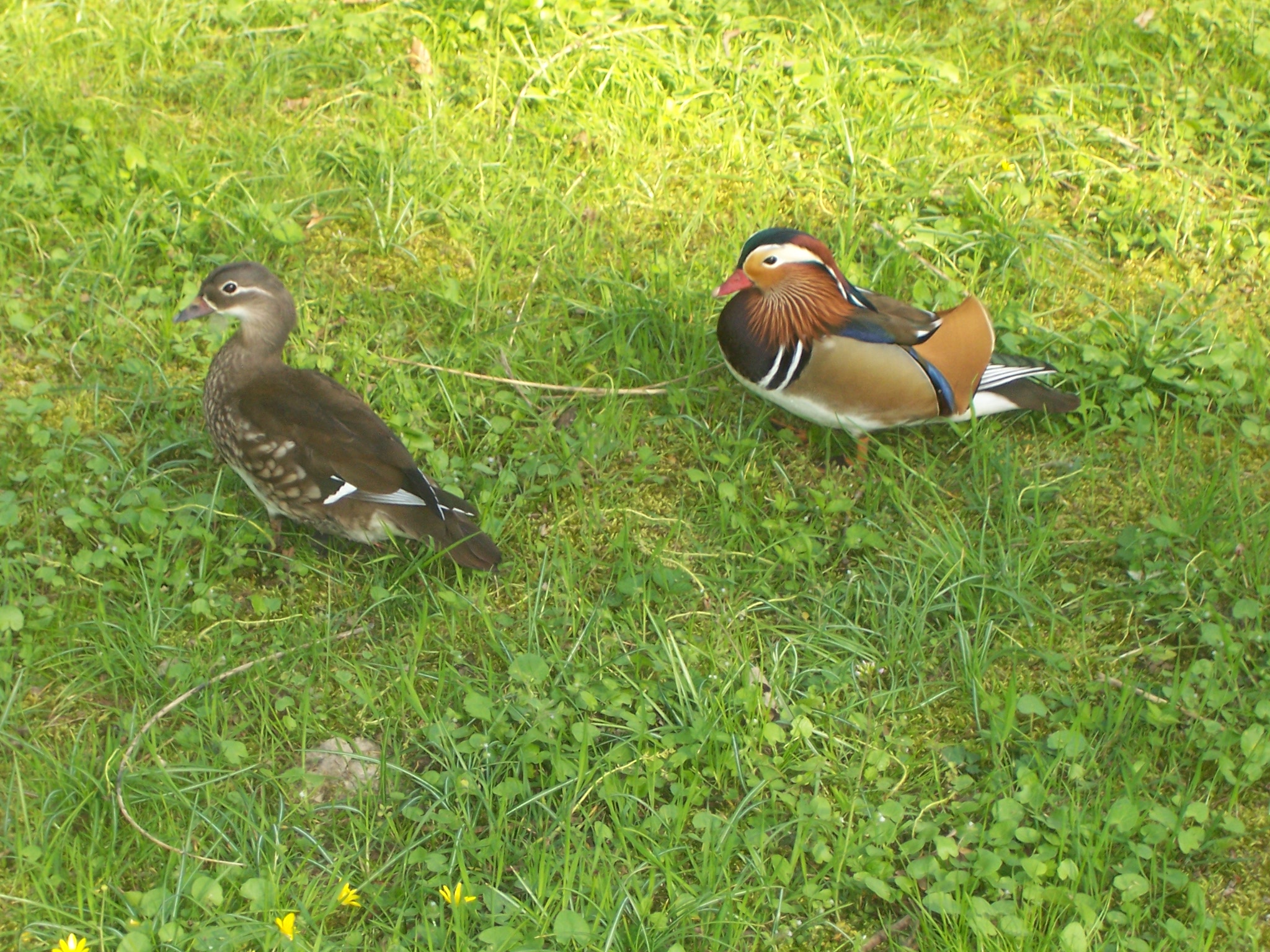 100_4629.JPG