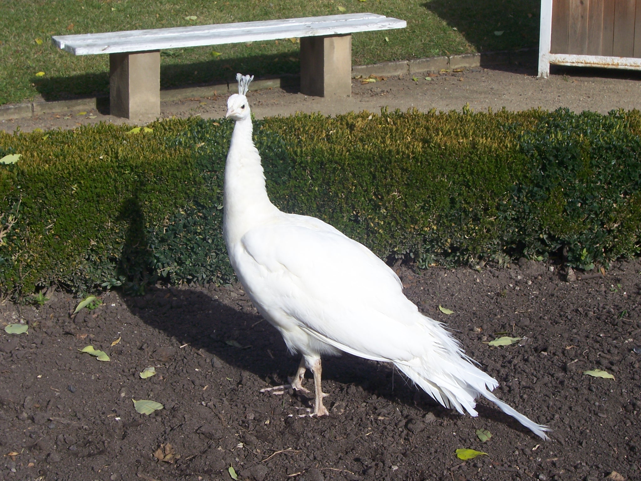 100_3977.JPG