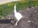 100_3980.JPG